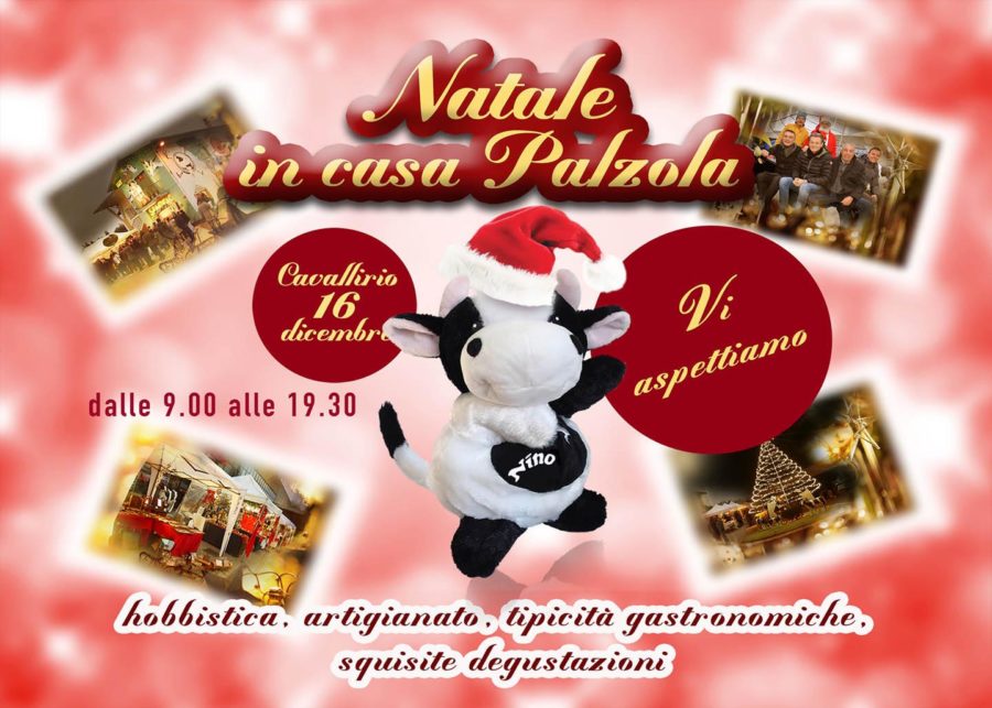 Non prendete impegni per il 16 Dicembre: il Natale in casa Palzola vi aspetta!