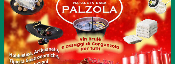 Sabato 10 Dicembre torna il “Natale in casa Palzola”